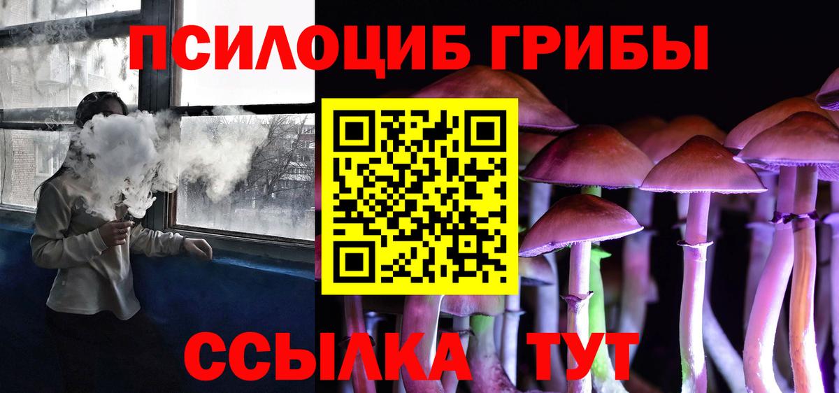 Псилоцибиновые грибы Psilocybine cubensis Кимры